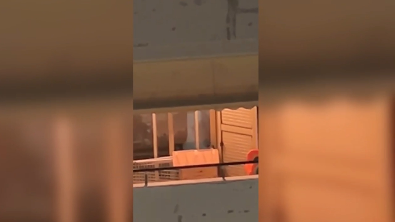 mbyllen-qenin-ne-ballkon-dhe-iken-drejt-greqise-zjarrfikesit-nderhyjne-dhe-shpetojne-kafshen-shtepiake-ne-vlore