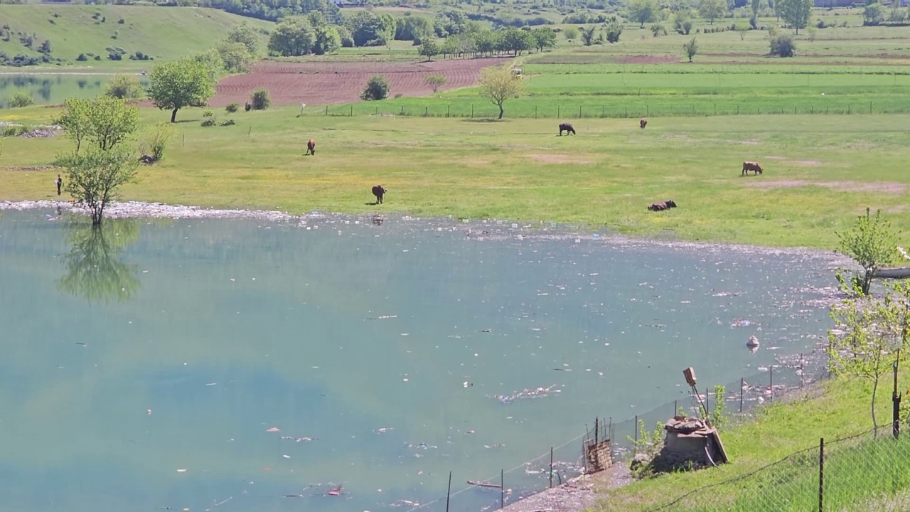 Liqeni i Kukësit i ndotur  mbetjet pushtojnë ujin  rrezikohet turizmi