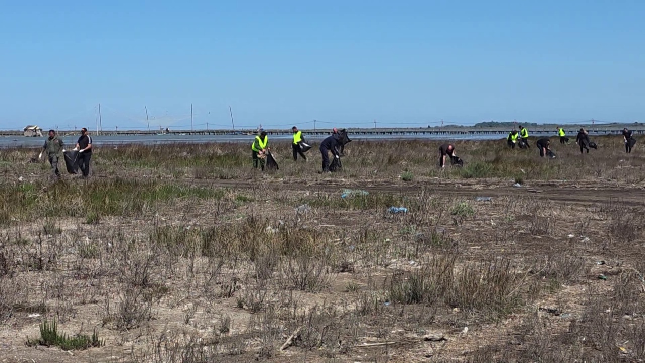pastrohet-divjaka-ne-prag-te-sezonit-turistik-aksion-vullnetar-ne-pyll-dhe-14-km-vije-bregdetare