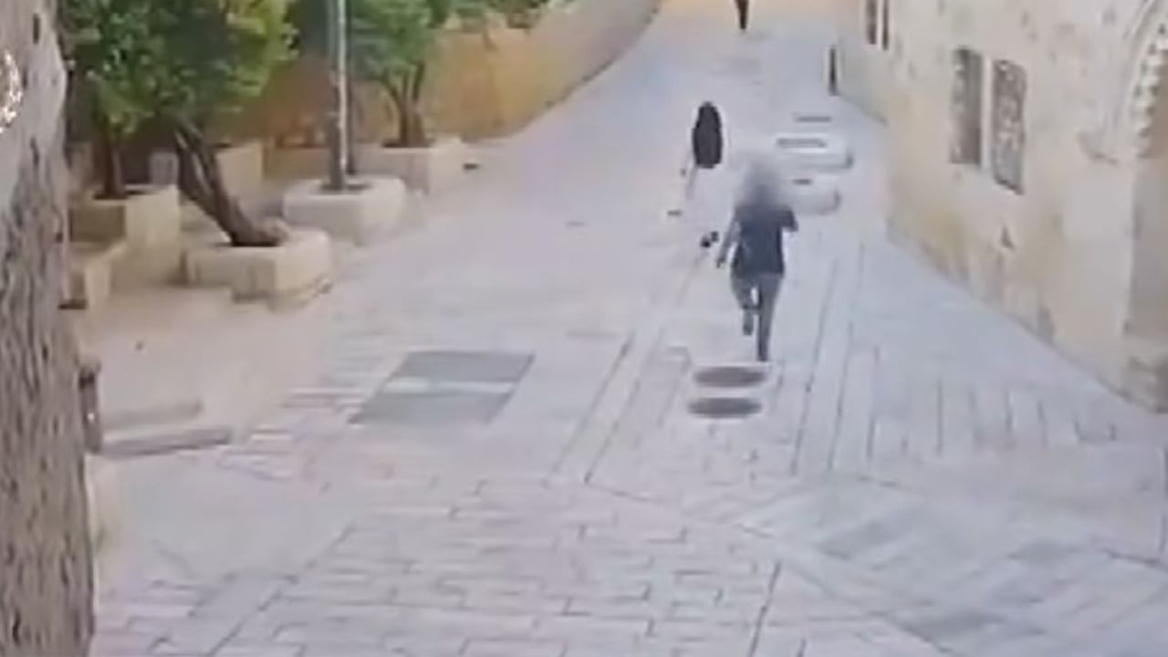 Sulmi ndaj murgeshës në Izrael  indinjatë në mbarë botën  Nuk është rast i izoluar
