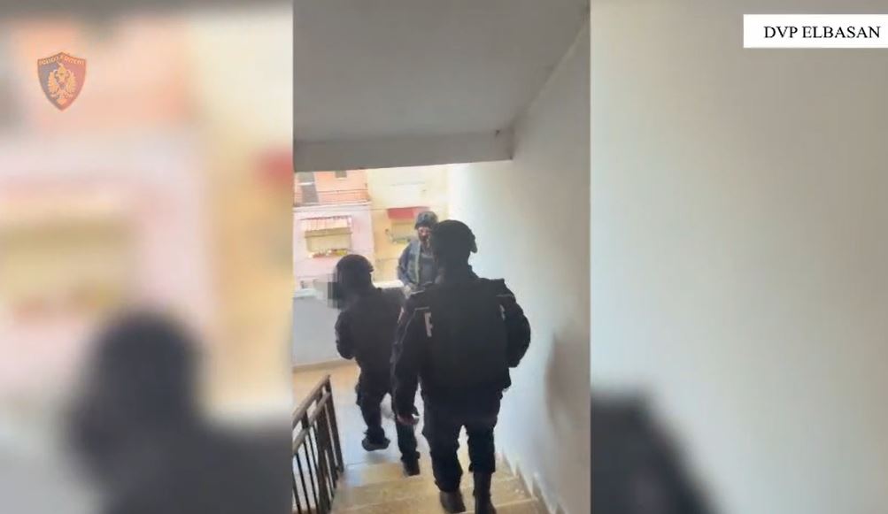policia-fut-ne-rrjete-elbasanin-librazhdin-dhe-perrenjasin-zbardhen-detajet-e-operacionit-antidroge