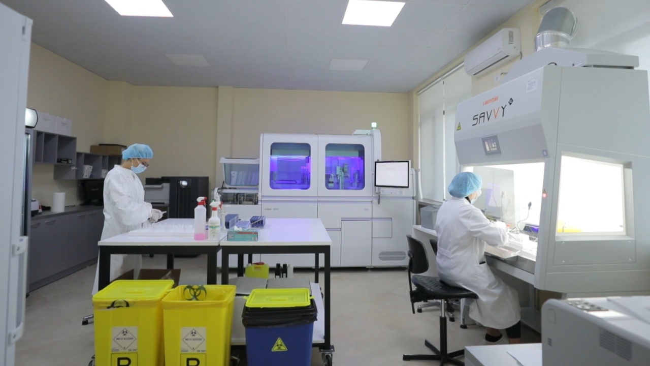 shqiperia-nuk-ka-hantavirus-ishp-rrisku-per-shqiperine-dhe-kontinentin-eshte-shume-i-ulet