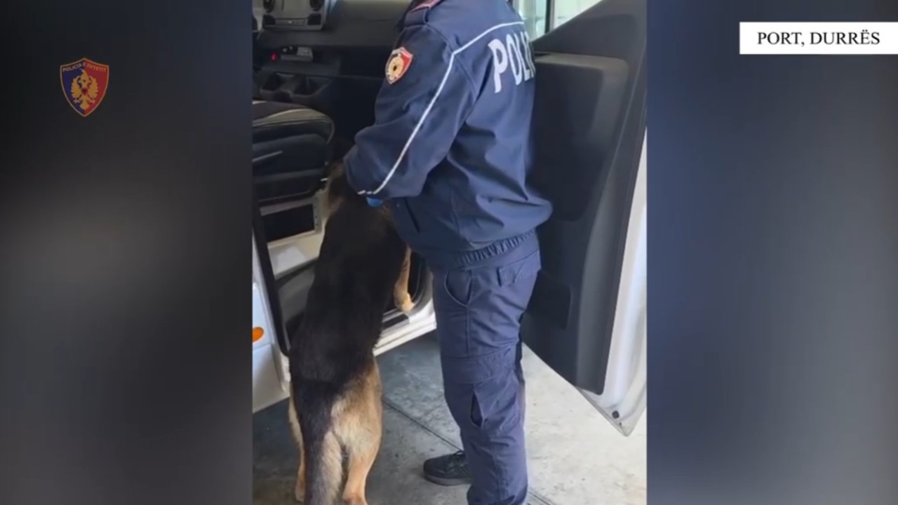 Tentoi të trafikonte mbi 3 mijë fara kanabisi në Shqipëri  arrestohet 24 vjeçari në Durrës