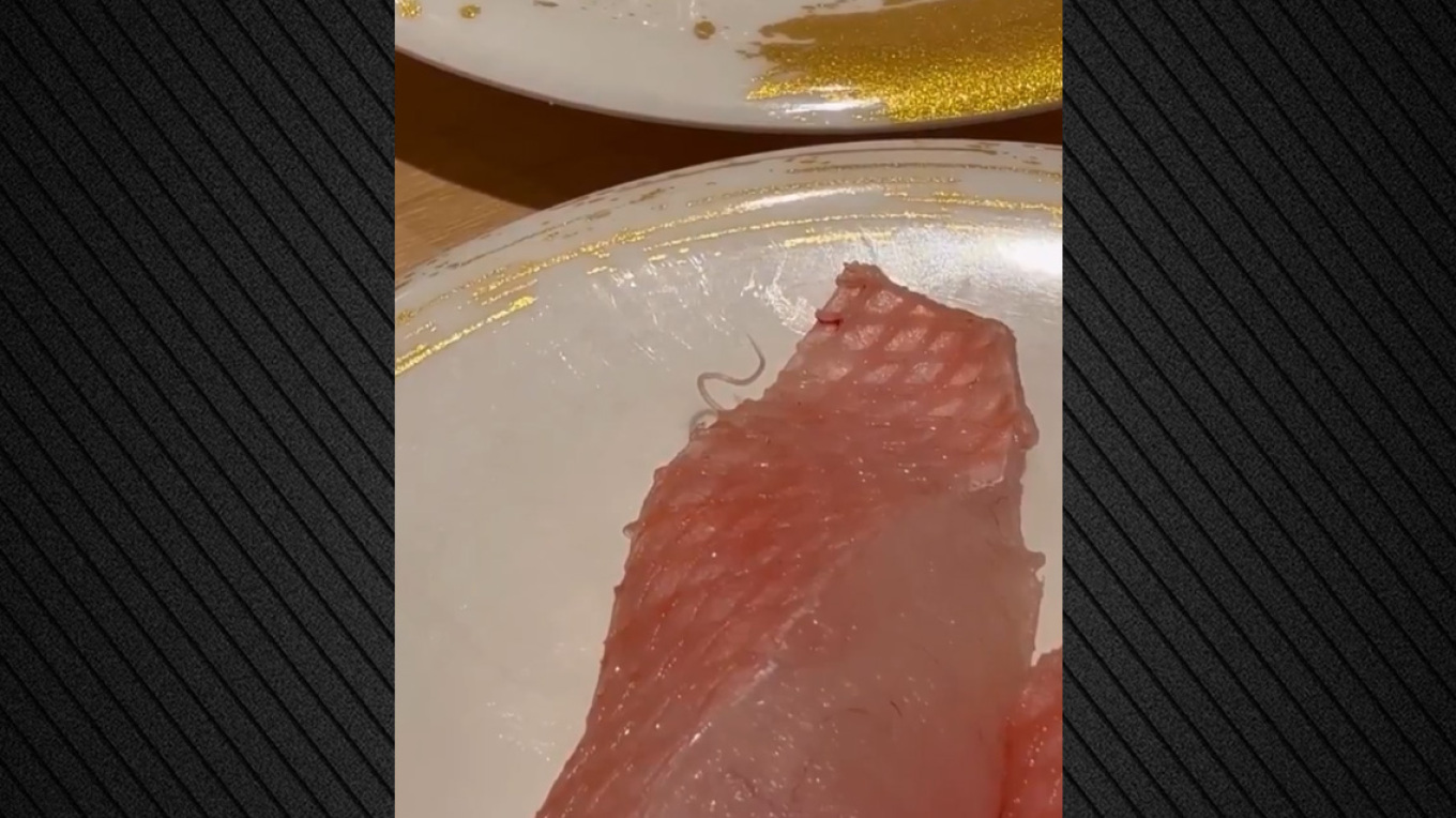 Klienti gjen parazit të gjallë në pjatën me sushi  videoja bëhet virale në rrjet