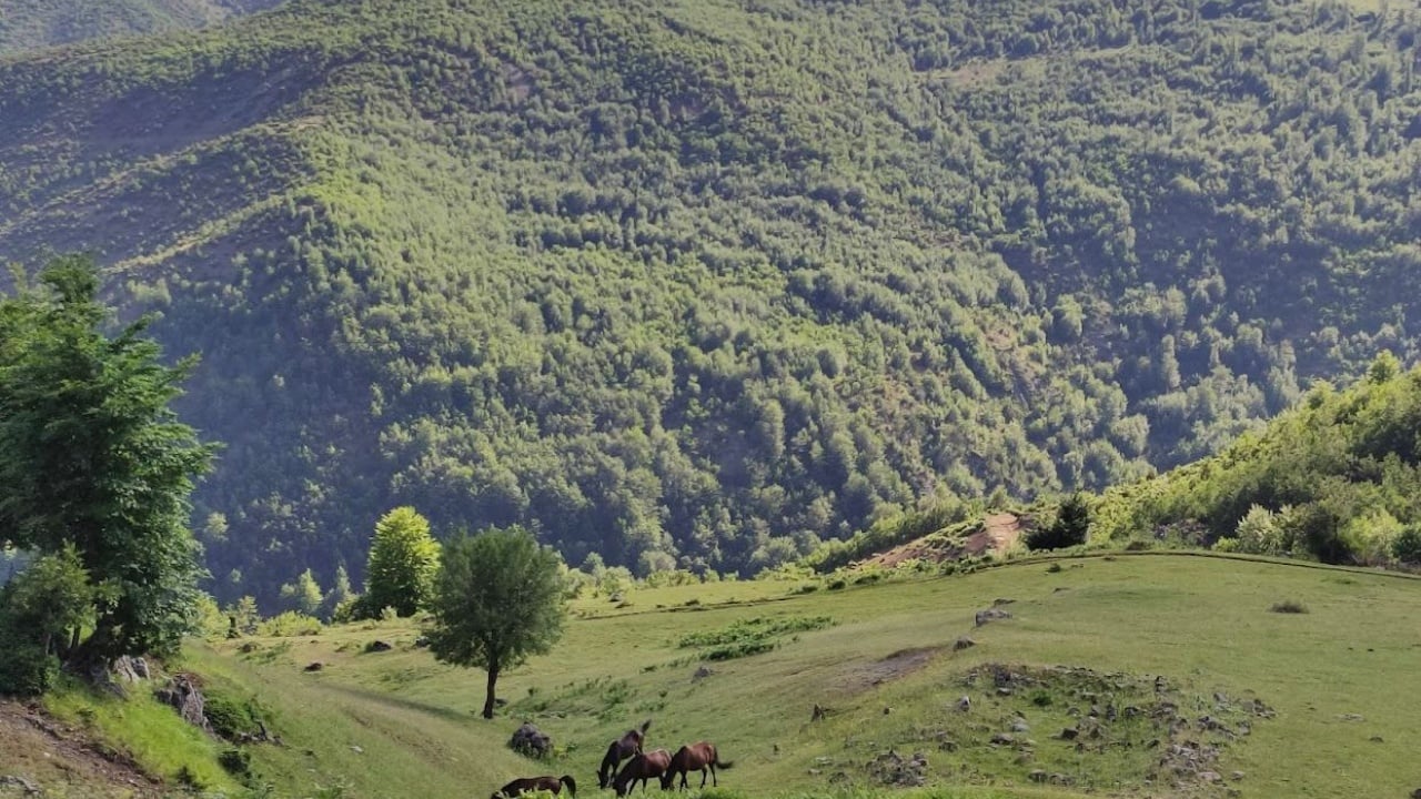 Zhduken dy turistë gjermanë në malin e Polisit në Librazhd  asnjë gjurmë që prej mbrëmjes së djeshme