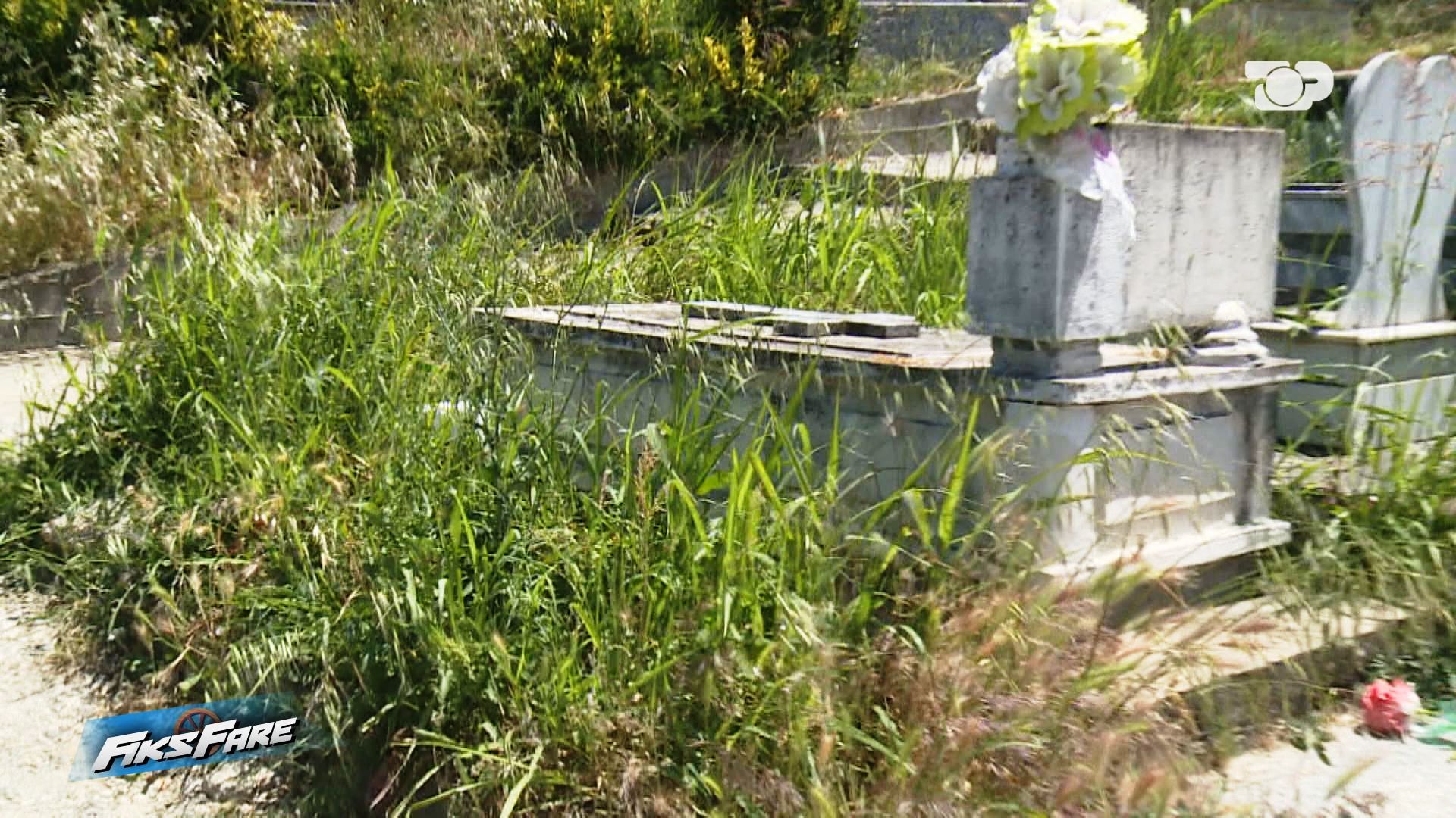 Fiks Fare  Varrezat e Mamurrasit dhe Laçit  në harresë   bari deri në 1 5 metra  qytetarët mes frikës nga gjarpërinjtë
