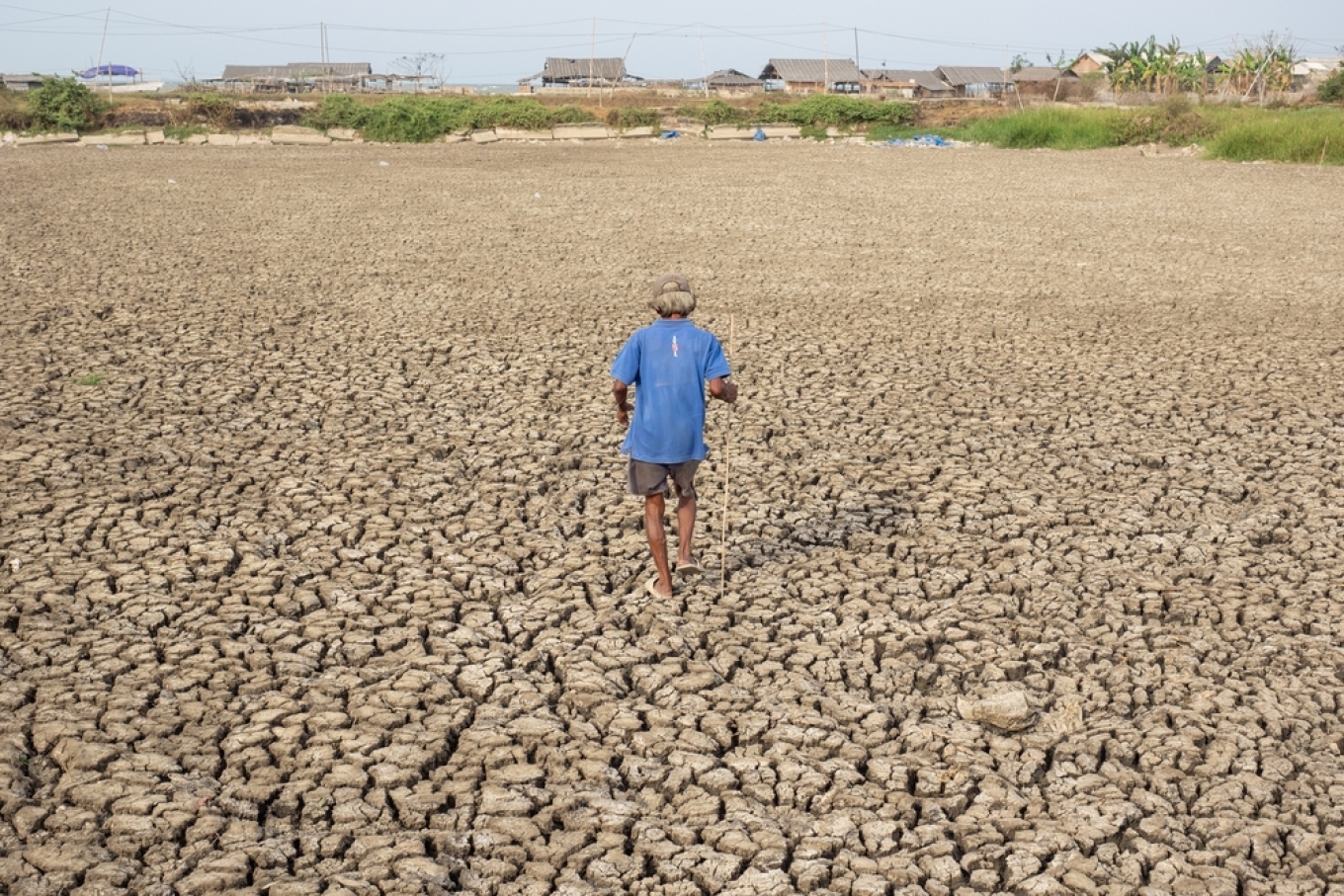 organizata-boterore-meteorologjike-paralajmeron-el-niño-te-fuqishme-kete-vere-rritet-rreziku-i-motit-ekstrem-global