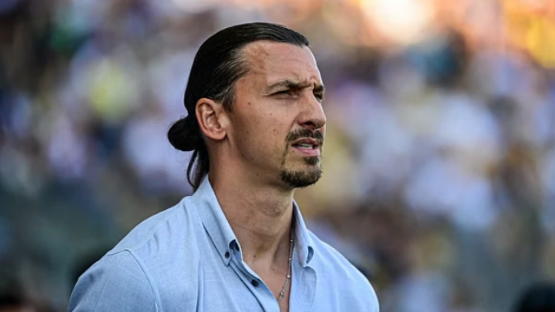holanda-eliminohet-ibrahimovic-nuk-e-kursen-koeman-i-papershtatshem-dukej-si-nje-trajner-italian