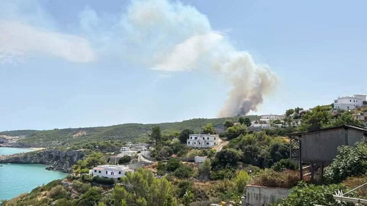 Zjarr në Gargano të Italisë, turistët evakuohen në anijet e Rojës Bregdetare, flakët përhapen me shpejtësi drejt disa zonave të banuara
