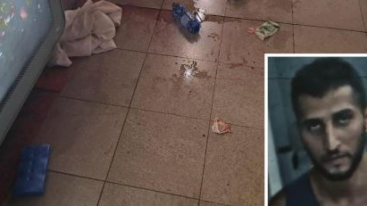  Ti je grua  unë jam burrë mysliman   Sulm me thikë në metronë e Milanos  23 vjeçarja mbetet e plagosur rëndë në fytyrë  autori një i ri algjerian