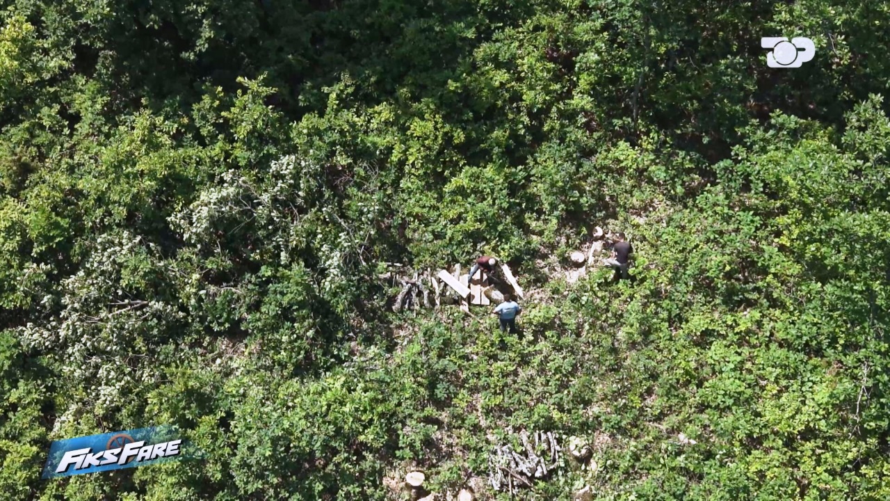 Fiks Fare  Masakër mjedisore në Sevran të Skraparit  firma rrafshon pyllin pa damkosur pemët  Punëtorët e pranojnë para kamerës