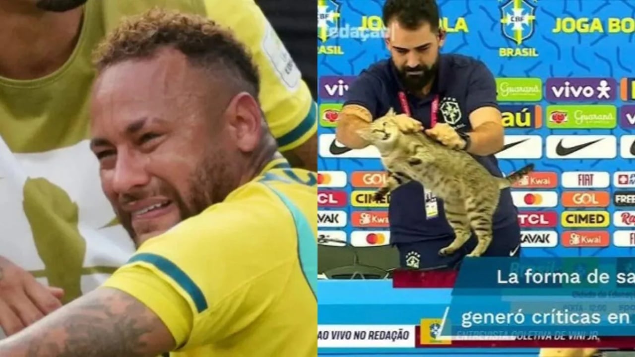 Video  Eliminimi i Brazilit nga Botërori  fansat sjellin edhe njëherë në vëmendje teorinë e mallkimit të  maces