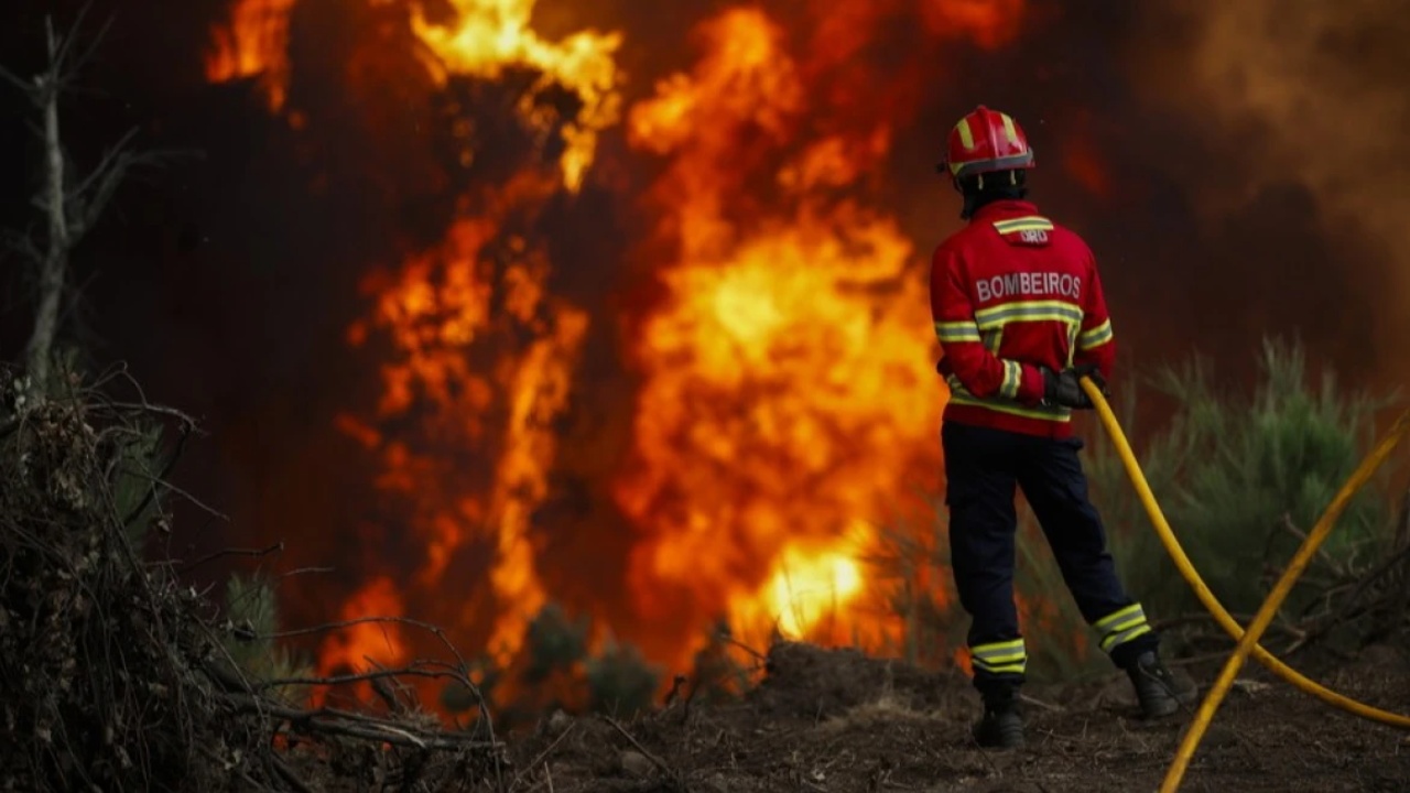 zjarre-te-medha-ne-evropen-jugore-franca-spanja-dhe-portugalia-perfshihen-nga-flaket-mijera-hektare-te-djegur