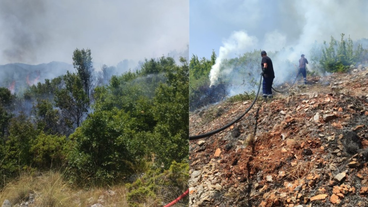Zjarr i madh në Qafë Thanë  flakët përhapen me shpejtësi nga temperaturat e larta dhe era