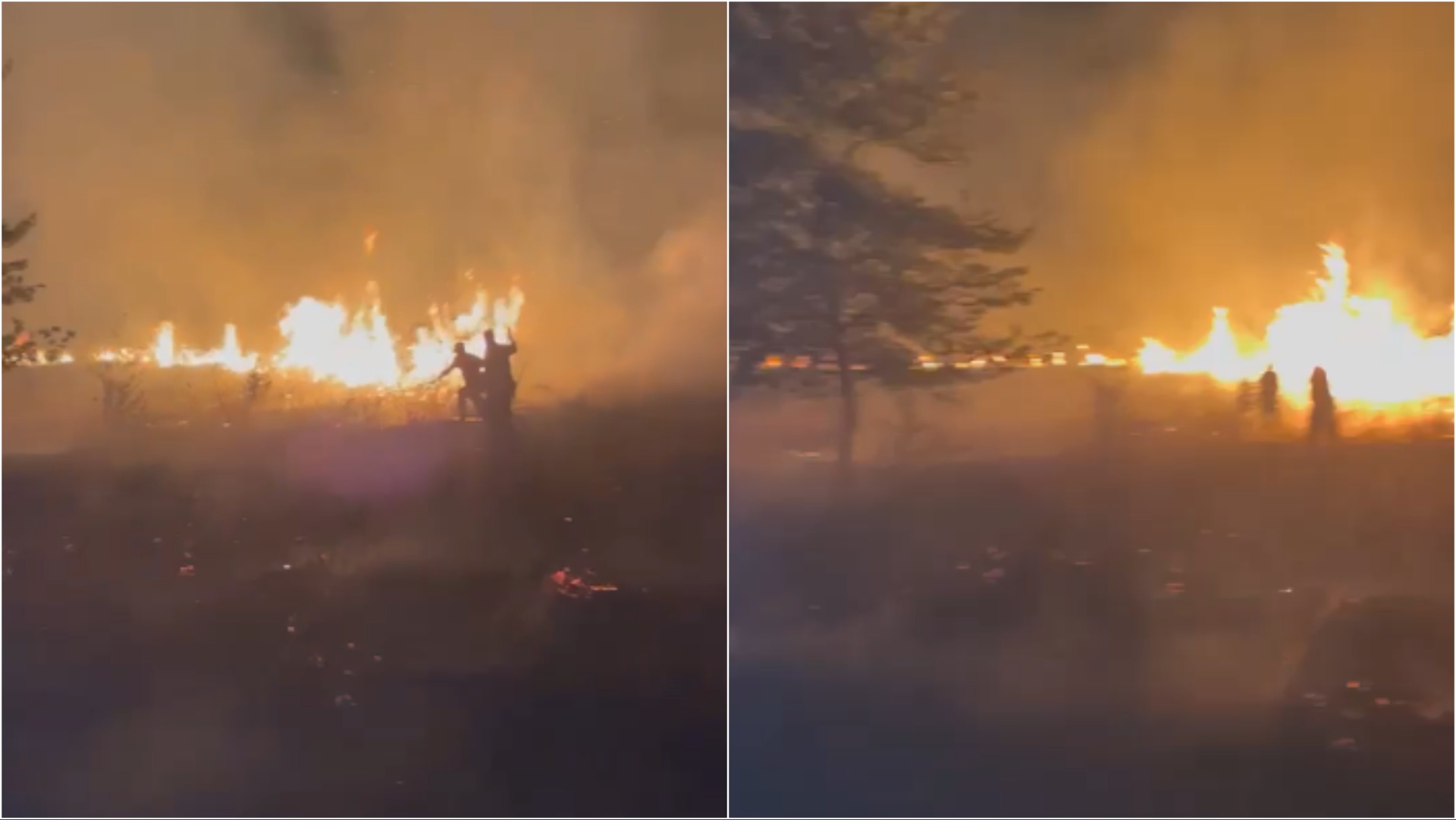 Zjarr në Lazarat  Flakët përhapen me shpejtësi në fushë  ndërhyjnë tre grupe zjarrfikëse