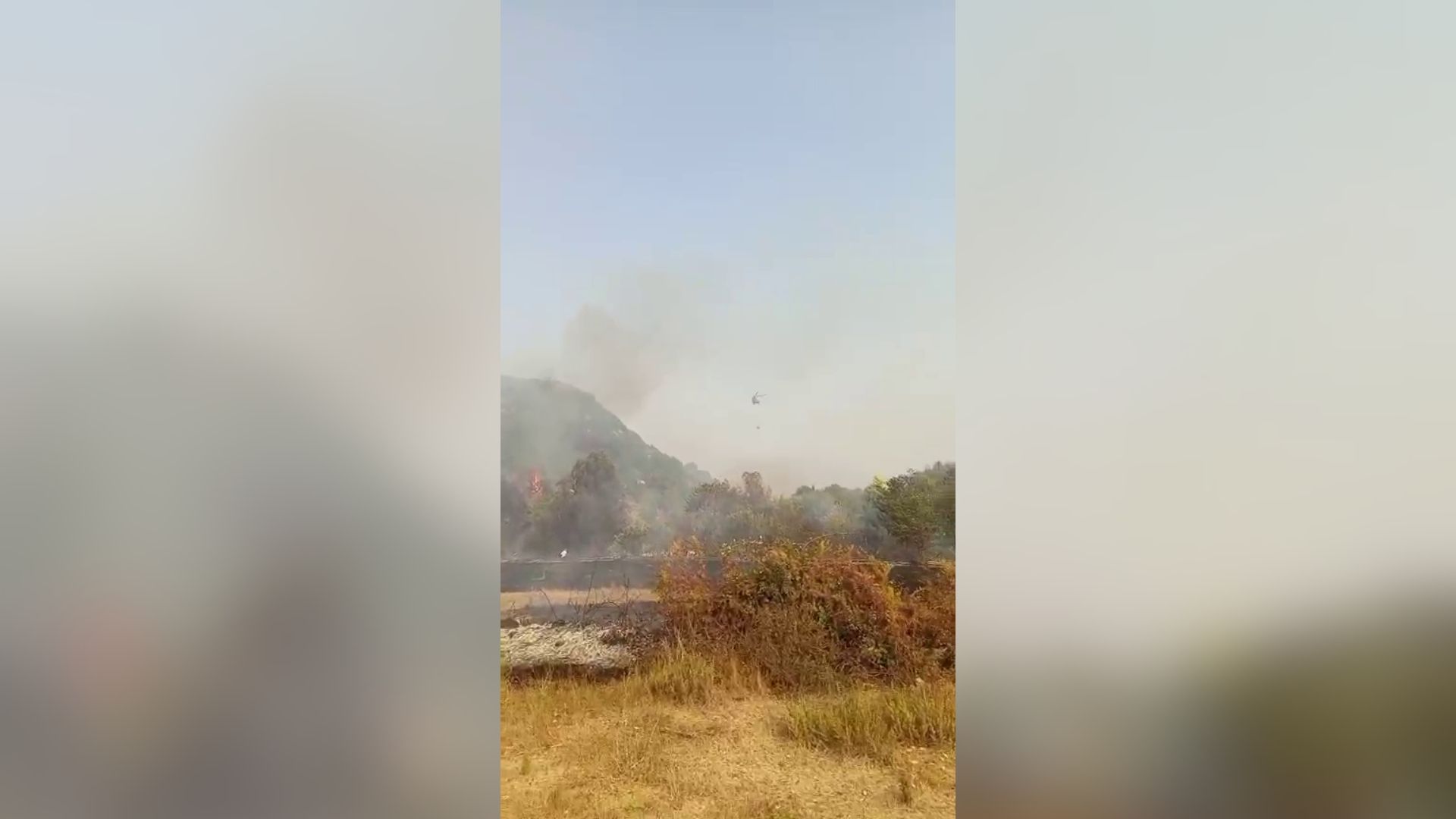 Zjarri në Vranisht të Vlorës, përfshihet nga flakët një banesë, digjen dhe disa hektarë sipërfaqe pyjore