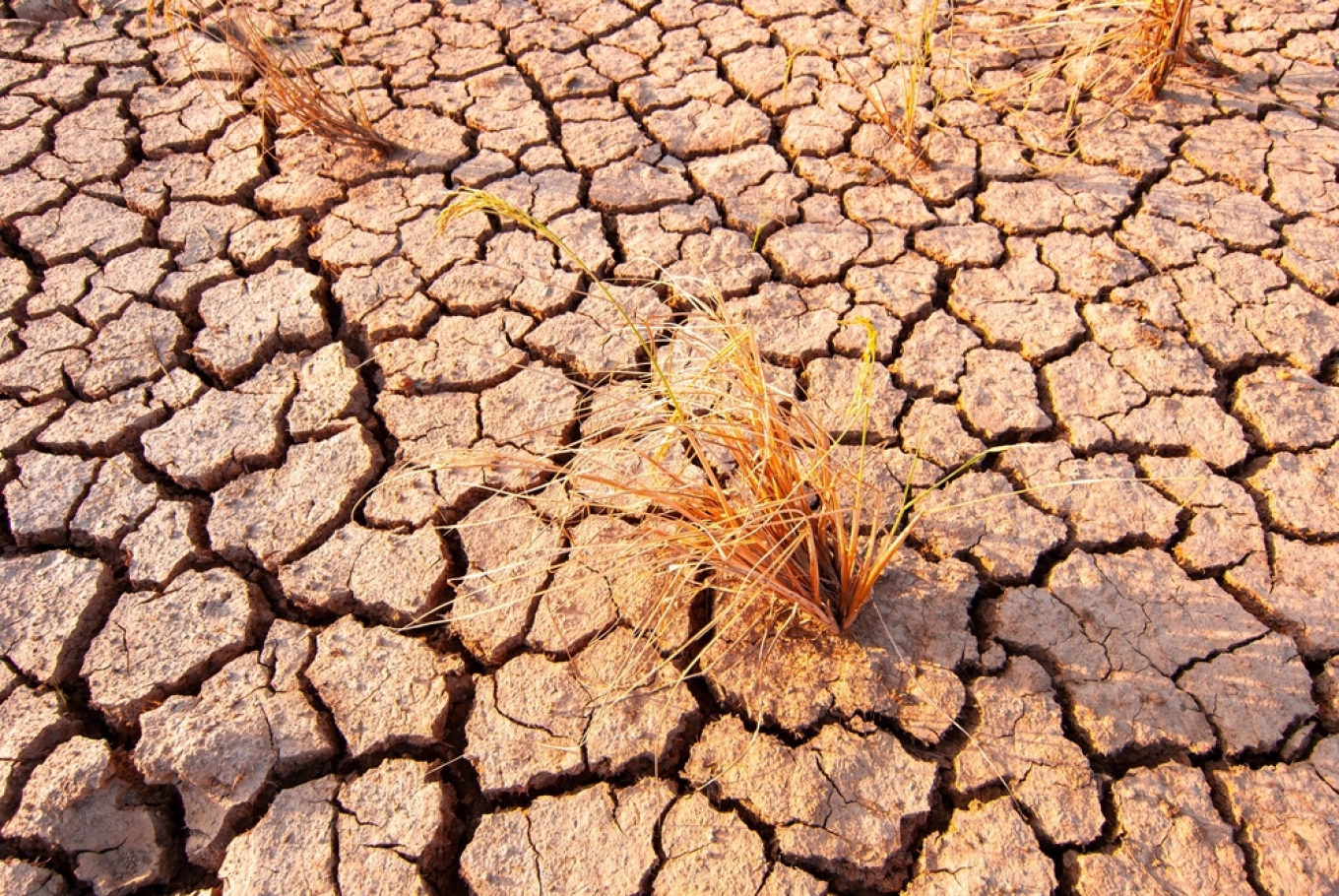 El Niño më i fortë i kohëve moderne është shumë afër  çfarë po e ndryshon motin e planetit