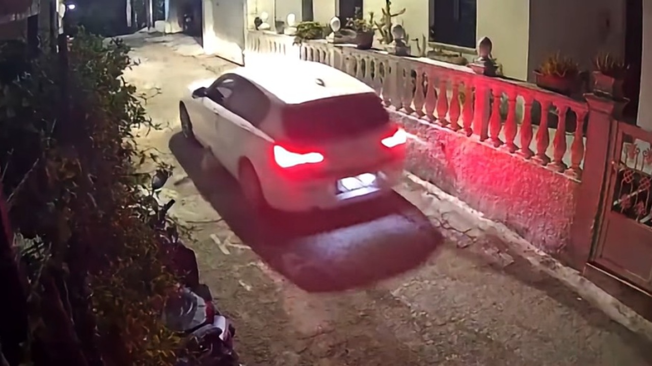 Shtypi për vdekje qenin dhe u largua nga vendi i ngjarjes  arrestohet drejtuesja e automjetit në Korfuz