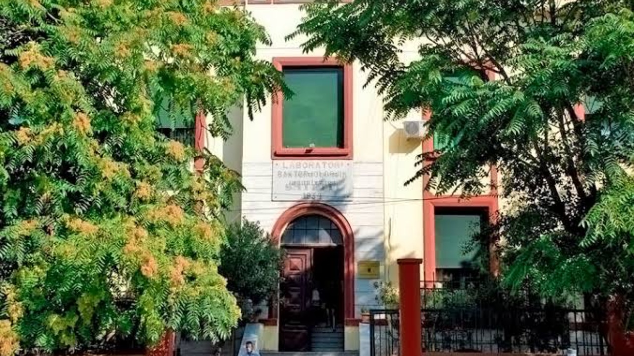 Mbi 90  regjistrime në Mjekësi  fituesit nxitojnë të regjistrohen  pranojnë të punojnë tre vjet në Shqipëri