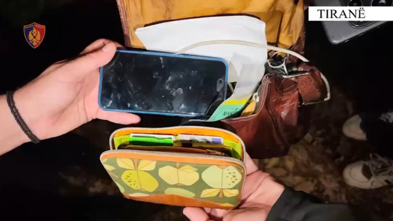 Sulmoi dhe i mori çantën një turisteje gjermane  zbardhet grabitja te Liqeni Artificial  arrestohet autori