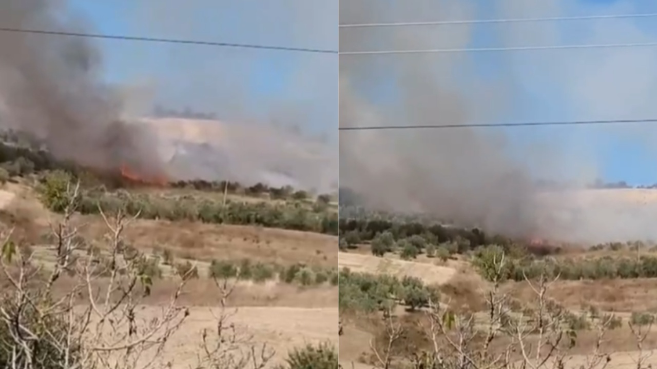 Zjarr në kodrat e Vllahinës së Vlorës  flakët përfshijnë ullishte dhe toka bujqësore