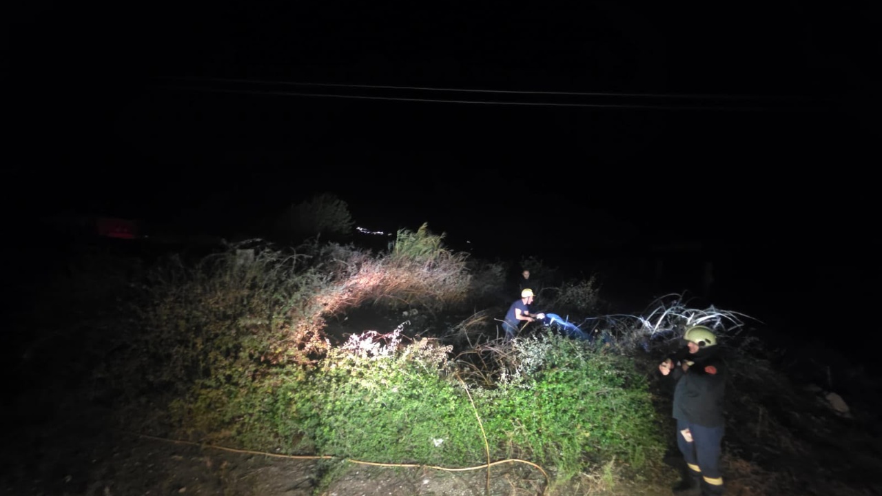 Zjarr pranë stallave të lopëve në Valare  ndërhyrja e zjarrfikësve parandalon përhapjen e flakëve
