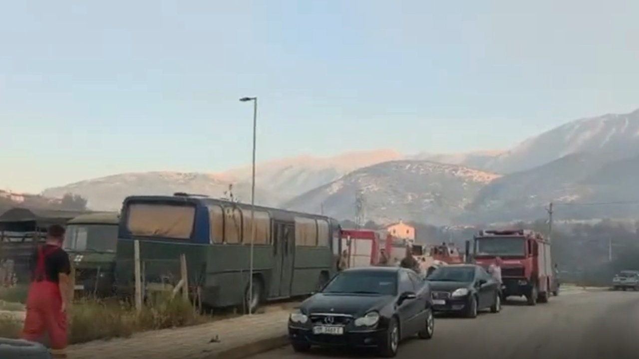 Përmirësohet situata me zjarrin në Himarë/ Banorët apel për ndihmë, mbi 6 mijë rrënjë ullinj shekullorë të përfshirë nga flakët