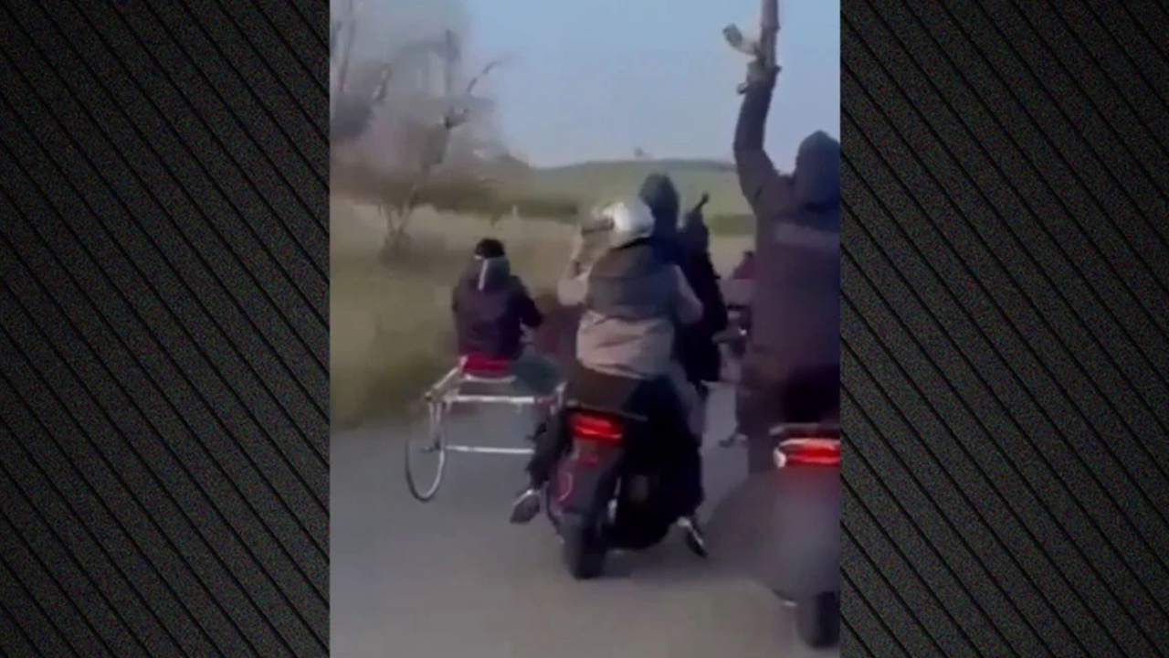 Pamje si në filma, anëtarët e mafies italiane organizojnë garë të paligjshme me kuaj në autostradë, e shoqërojnë me breshëri plumbash