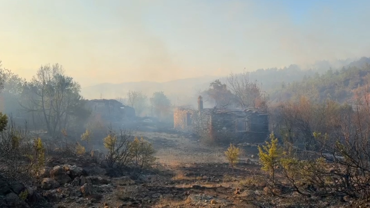 zjarri-perfshin-fshatin-kalivac-ne-lezhe-flaket-afer-banesave-nderpritet-energjia-ne-disa-zona-per-siguri