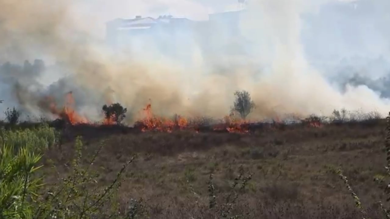Zjarr në Babicë të Vlorës, flakët rrezikojnë një banesë. Ndërhyjnë forcat zjarrfikëse