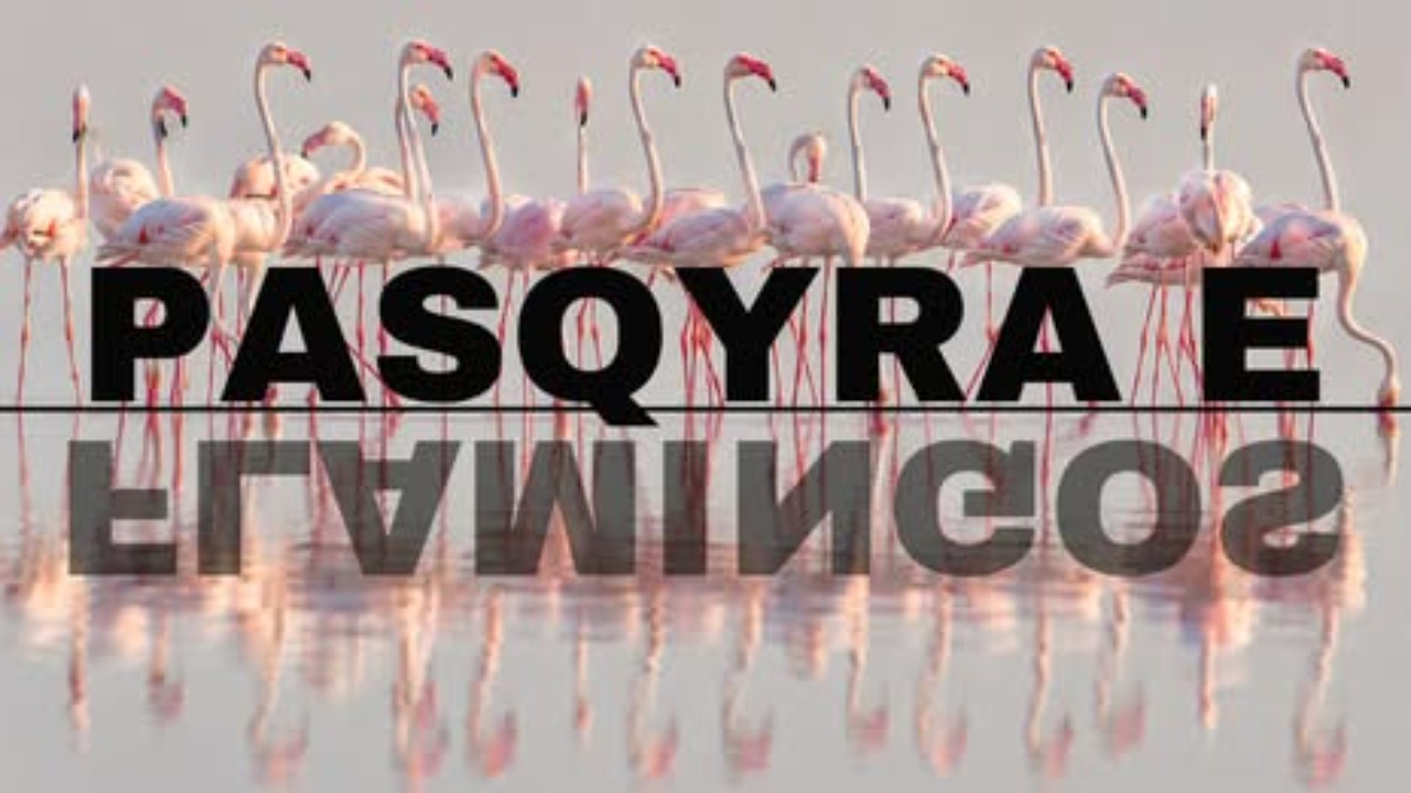 Hapja e platformës online “Flamingo Mirror”, reagon Rama: Një epokë e re transparence, gjatë orëve të para 127 mijë kërkime dhe 122 sulme kibernetike