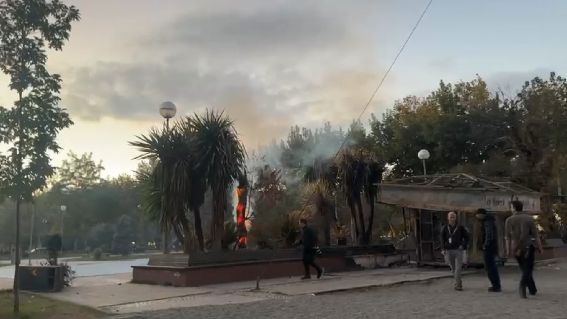 Foto nga burimi: Dita e 15-të e tubimit në Tiranë/ Protestuesit zhvendosen përpara Kryeministrisë, i vënë flakën një peme