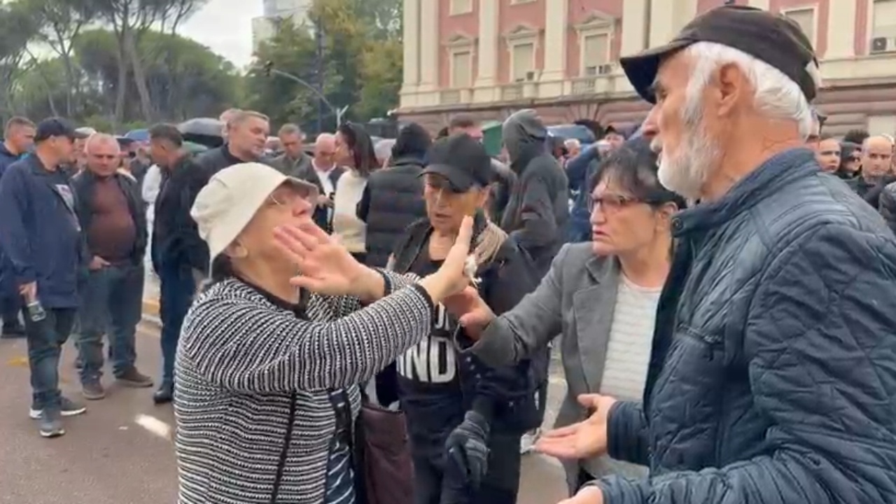 Foto nga burimi: Një protestuese del pro dialogut me Ramën, debaton ashpër me tubuesit e tjerë