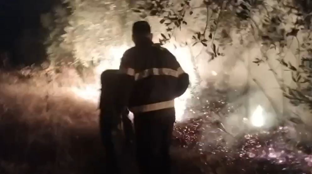 Zjarri përfshin një sipërfaqe të madhe në fshatrat Galush e Gjevur të Peqinit, frikë për banesat