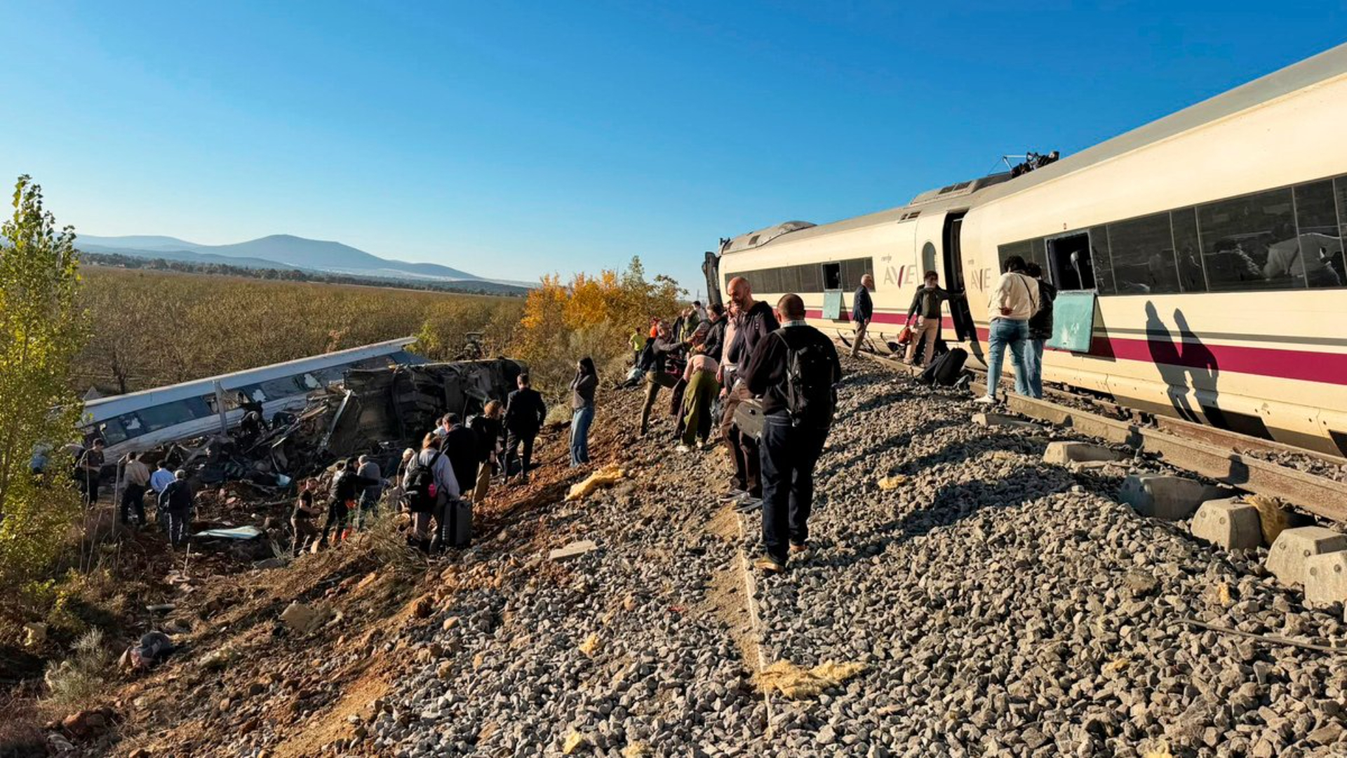 Foto nga burimi: Tragjedia hekurudhore në Spanjë/ 31 qese me mbetje trupore presin ende të identifikohen, të prekurit nga 27 kombësi të ndryshme